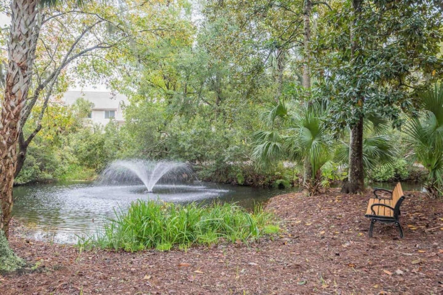 Forest Beach Condo Walk To Coligny, Pool, Tennis Hilton Head Island Exteriör bild
